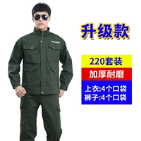 220 Jun Green (весна и осень)