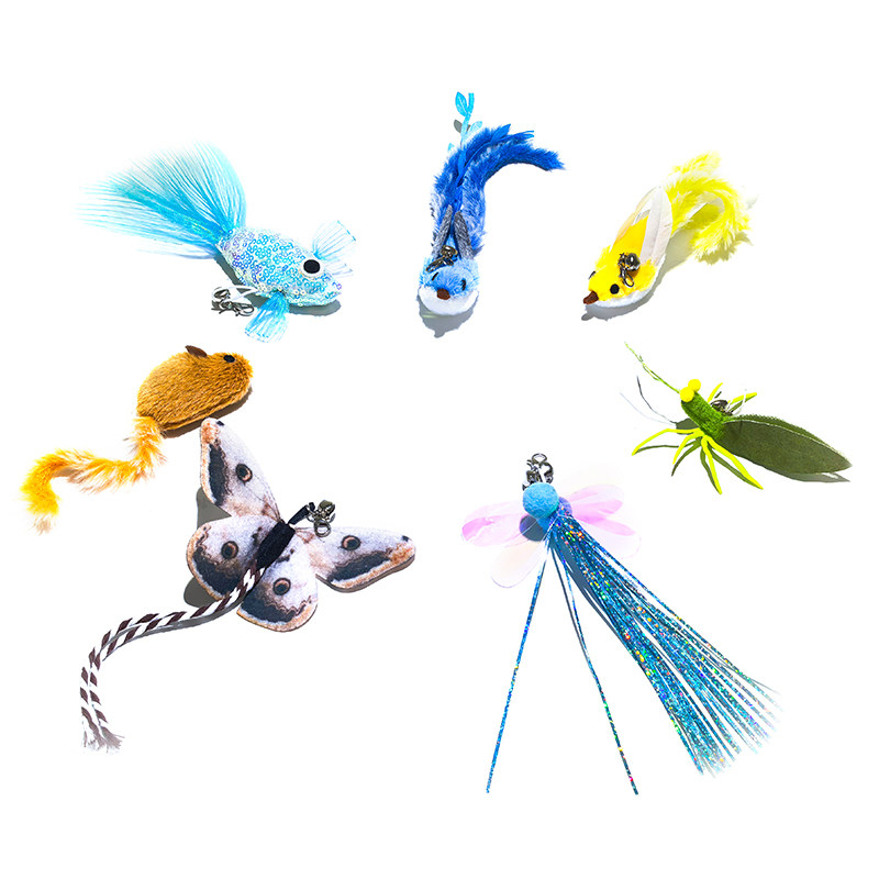 Rola Mini Companion Robot Pet Accessories