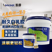  Blue solid white latex woodworking glue Wood splicing manual strong white adhesive knot wood furniture water-based glue