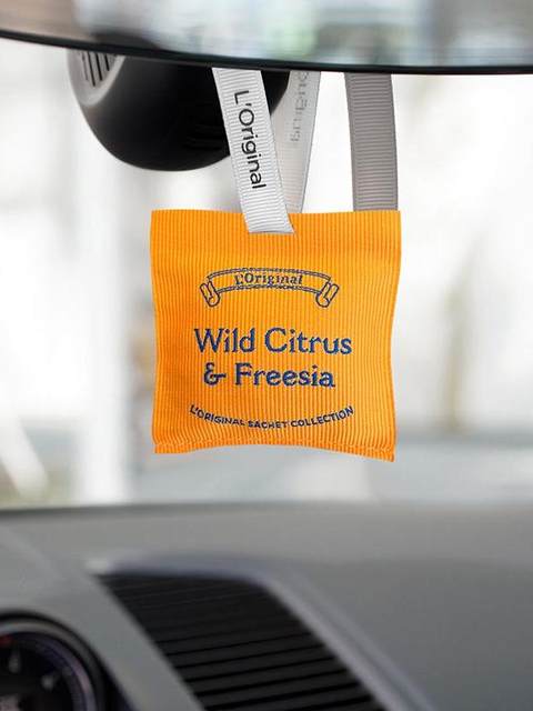 Lorio Car Air Freshener Pendant Sachet, Long-Lasting Fragrance for Car Use, High-End Ornament Gift Box, Valentine's Day Gift