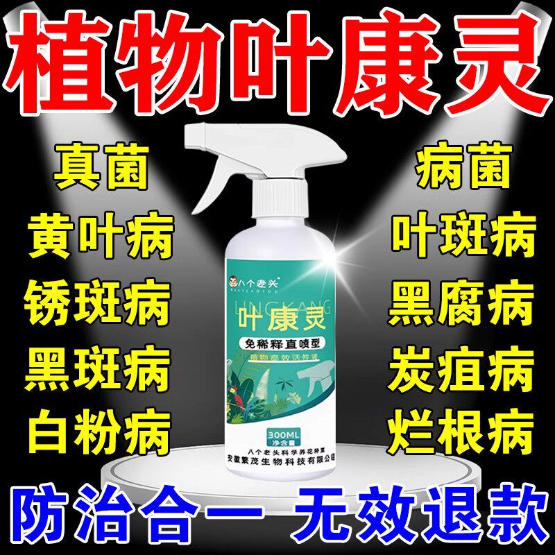 Yekangling Rose Flower Disease and Pest Control Medicine, Commonly Used for Rose Powdery Mildew, Yellowing Leaves, and Black Spots on Leaves, Specialized Insect Repellent Yekangling Rose Flower Disease and Pest Control Medicine, Commonly Used for Rose Powdery Mildew, Yellowing Leaves, and Black Spots on Leaves, Specialized Insect Repellent
