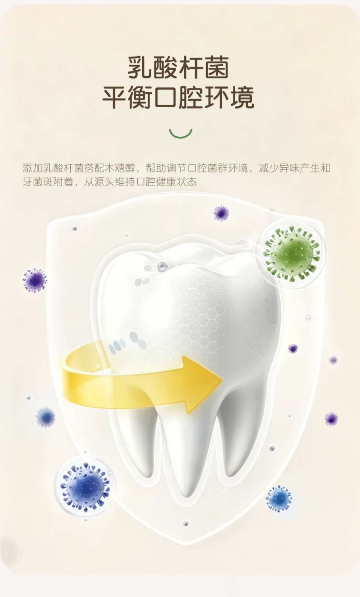 稚芽备孕妇女专用牙膏不含氟口腔护理果香味清新口气洗漱用品套装 — 13