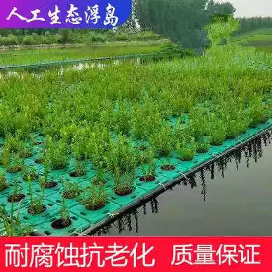 Cabbage floating island soilless cultivation flower pot Creek courtyard breathable water planting floating bed vegetable bio-artificial