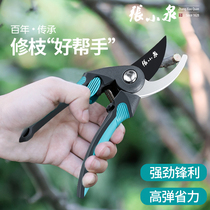 Zhang Xiaoquan pruning branches scissors gardening flower scissors special tools garden fruit trees flowers and trees