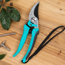 Zhang Xiaoquan scissors floral artist bonsai flower repair special tools gardening flower scissors fruit tree branch pruning