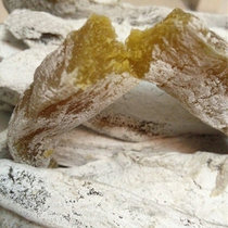 2021 new sunbae Tung Weihai Rongcheng is an old handmade ground melon dried farmhouse homemade sweet potato dried potato dried