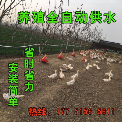 Water-feeding plant Breeding Ground Chicken with water-feeding Pramatsu Chicken Breeding chicken coop Ducks Goose Fully Automatic Chicken Kettle