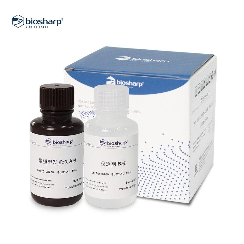 biosharp BL520AB特超敏ECL化学发光底物增强型发光A液+稳定剂B液