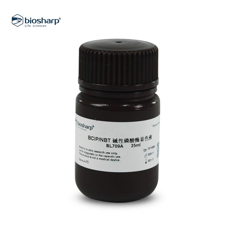 biosharp BL709A BCIP/NBT 碱性磷酸酶显色液（预混型）
