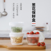 Scallion fresh-keeping Box Kitchen food storage box ginger garlic transparent sealed drain refrigerator ingredients finishing fruits and vegetables