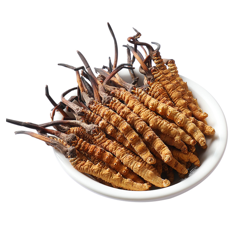 【5.9秒杀】2022头期正品西藏冬虫夏草