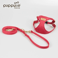 Камелия красная кишка назад+тяговая веревка