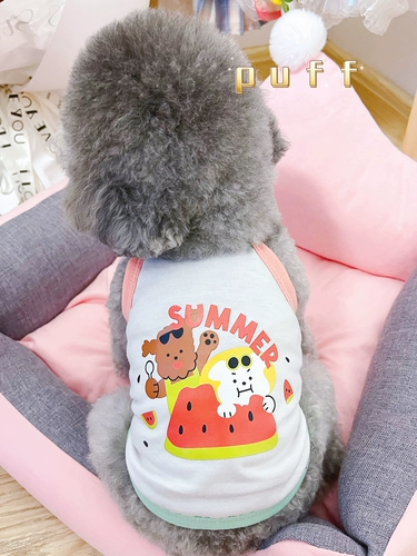 Одежда для любимой собаки плюшевая бим -бим боменг Малзис маленький собака летний кошачий клуб