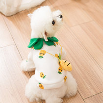 Dogs clothes for spring and autumn clothes cute pineapple sweater teddy bib Bear Beauties Small dog puppies pet kitty spring
