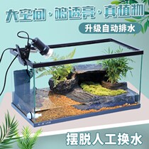 Turtle-cylinder with sundae Turtle Villa Ecological Tortoise Vat Turtle CYLINDER-FREE WATER TANK AMPHIBIOUS GLASS CYLINDER