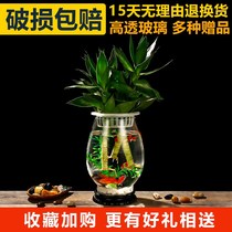 Fish tank glass Home Water Cultivation Thing Vase Small Flower Pot High Transparent Dragon Egg Green Lori Creative Water Fish Tank