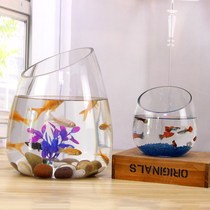 Glass hydroponic plant vase transparent inclined opening fish tank inclined mouth green loo water perched flower pots hydropware water ethnic group