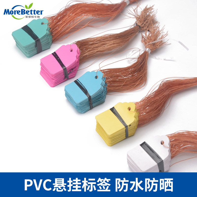 园艺PVC悬挂标签 花卉标签 植物树木吊牌 塑料防水挂牌 尼龙绳子