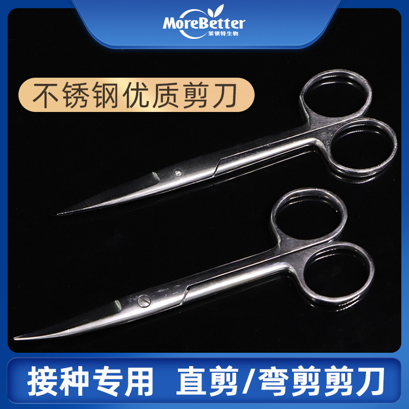 直尖不锈钢剪刀 弯尖不锈钢剪刀 直剪 弯剪 接种专用剪刀 14/18cm
