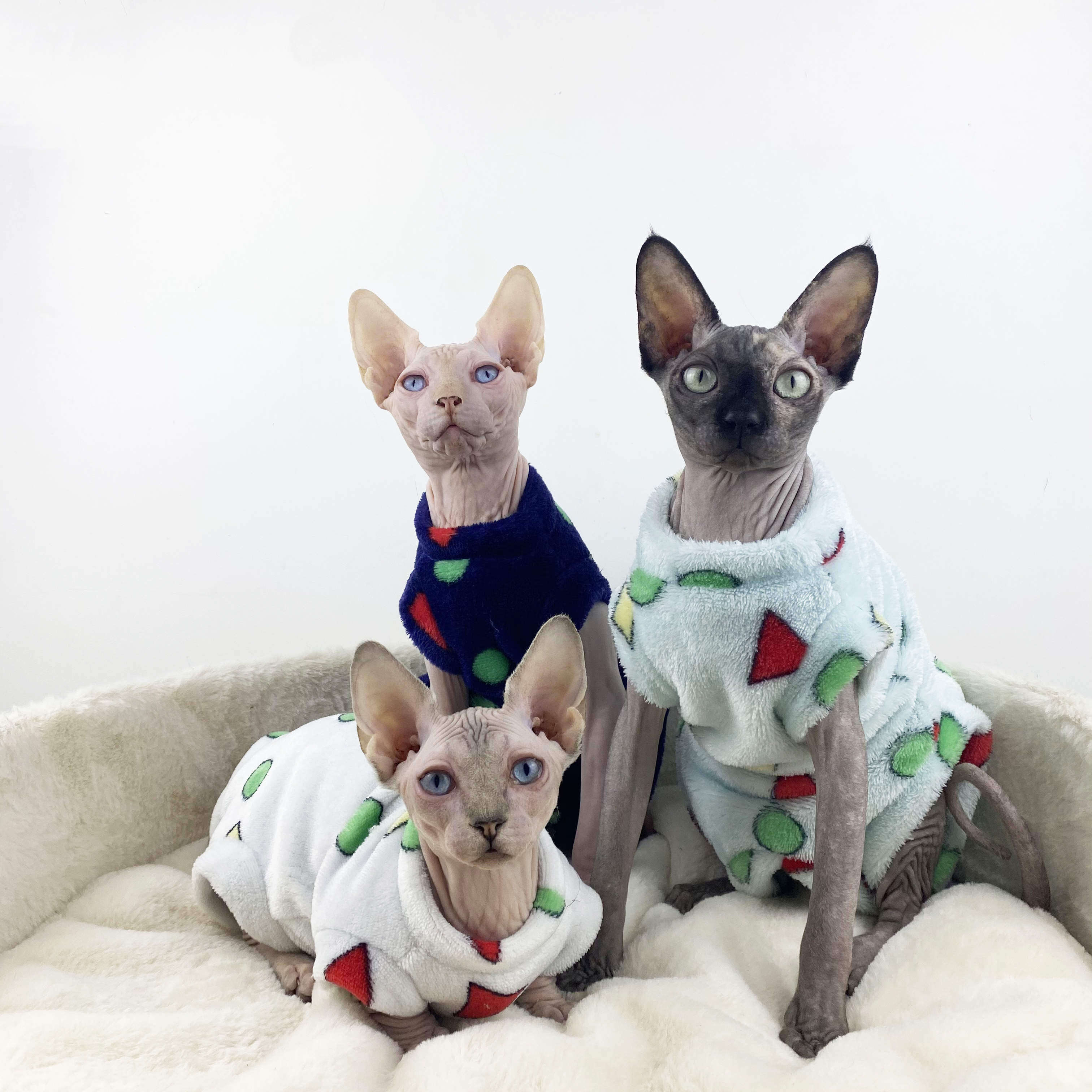 Svenx no hairy cat clothes autumn and winter thick winter warm without hairy cat four feet clothes winter cat clothes-Taobao
