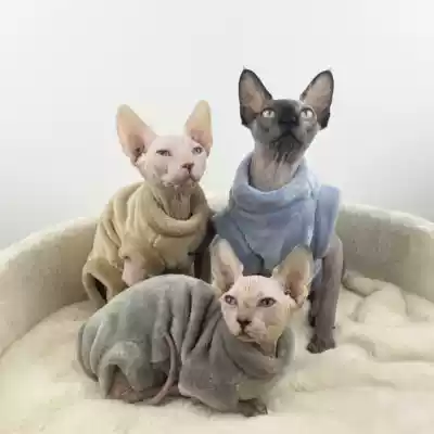Sphinx hairless cat clothes Flannel winter warm hairless cat four-legged clothes Winter fur cat clothes
