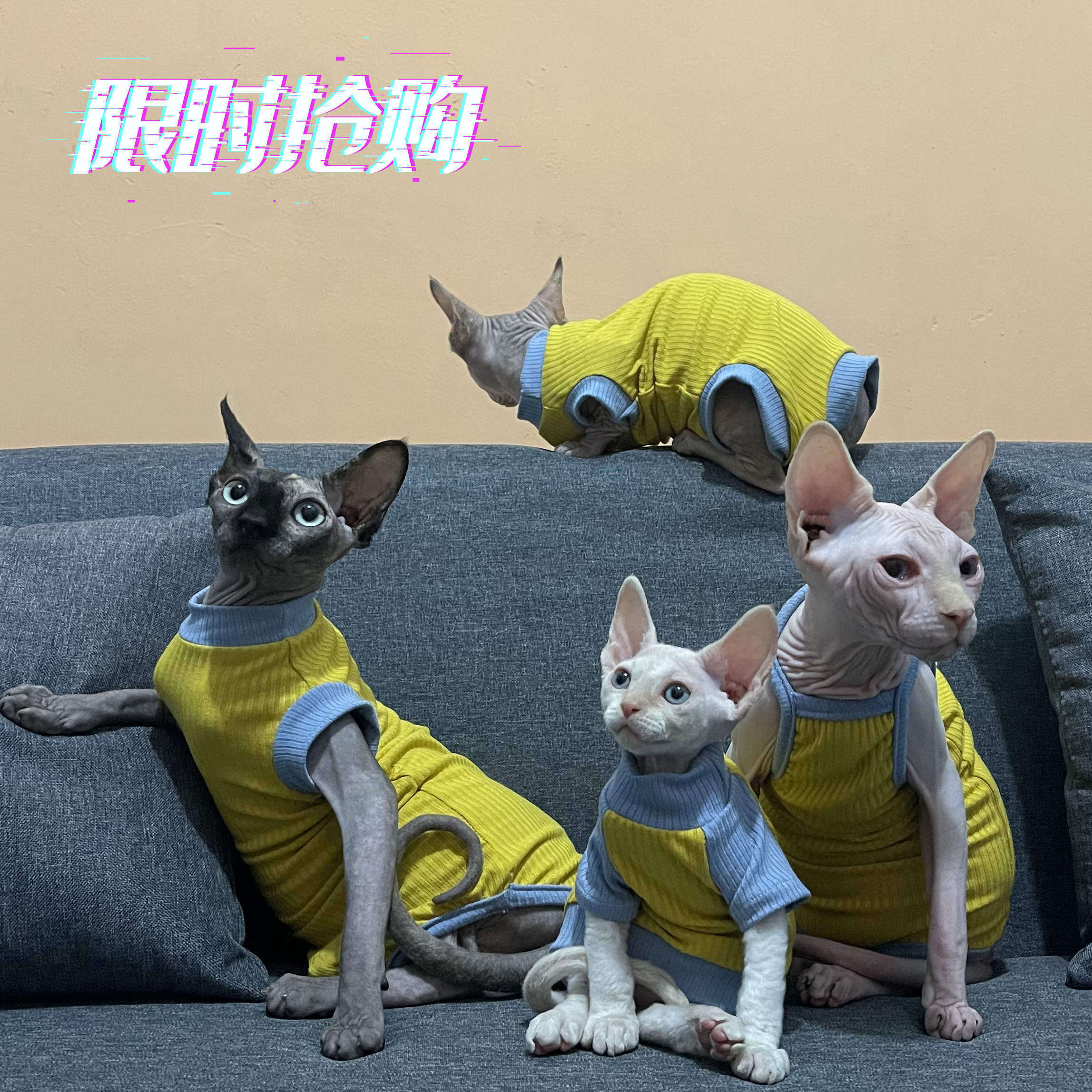 Summer Hairless Cat Clothes Pure Cotton Thin 4-foot harness Vest Anti Allergy Air Conditioning House Devin Abi Cat Clothes