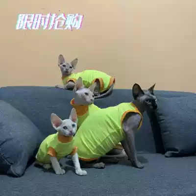 Sphinx hairless cat clothes pure cotton summer thin special offer sold out no supplement bright color hypoallergenic cat clothes