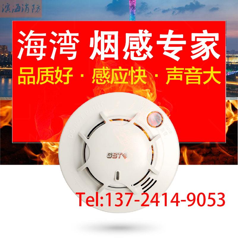 Bay independent smoke alarm GSTN701 smoke detector smoke alarm fire household