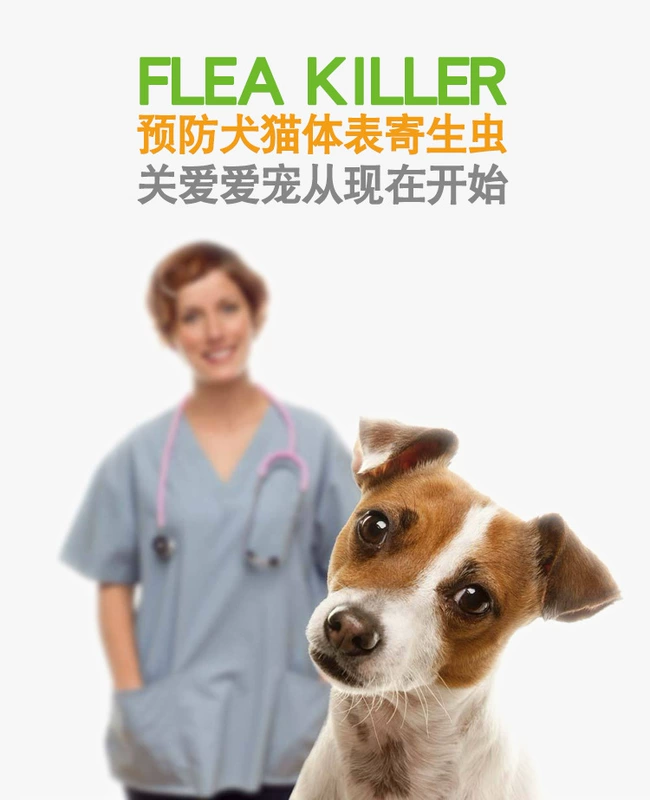 Flea Li Khánh mèo và chó in vitro tẩy giun Teddy Golden Retriever loại bỏ vật nuôi bọ chét bọ chét phun thuốc trừ sâu - Cat / Dog Medical Supplies