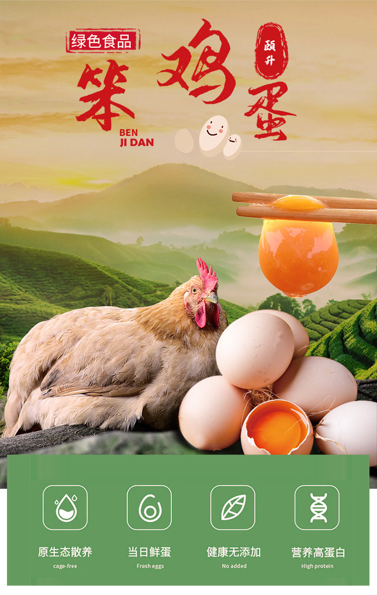 国家地理标志产品 颐升 新鲜鸡蛋 笨鸡蛋 40个约1700g 天猫优惠券折后￥29.9包邮（￥39.9-10）