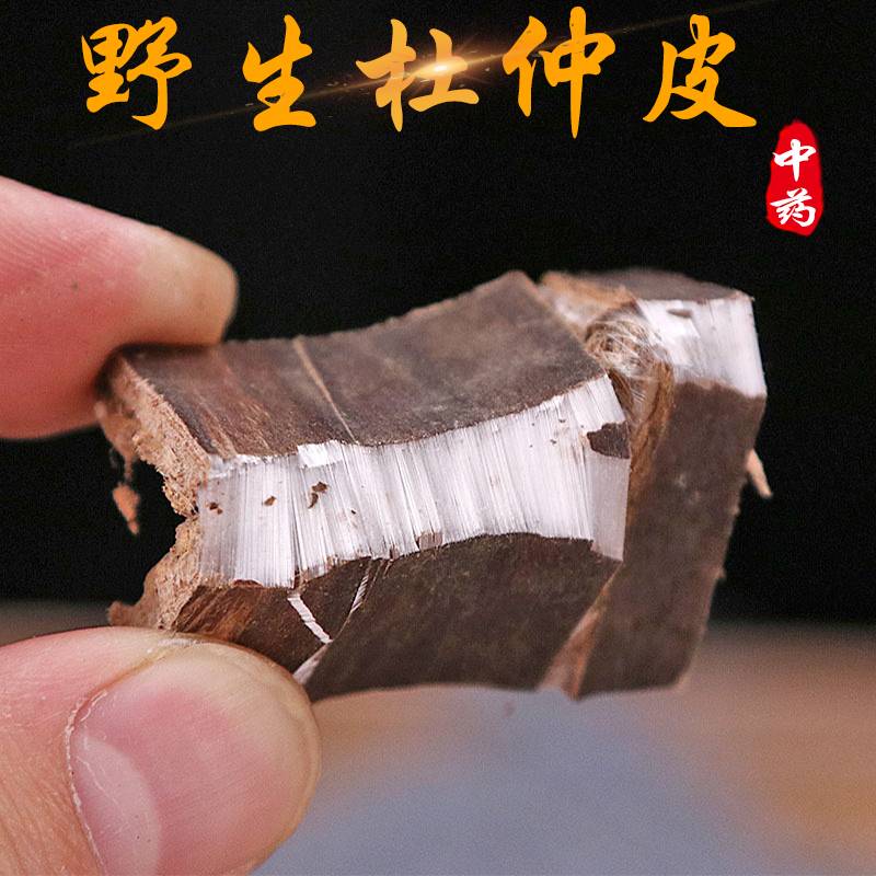 Wild Du Zhong500g Special Chinese medicine material with Huang Fengbauo skeleton sheep pot tea water