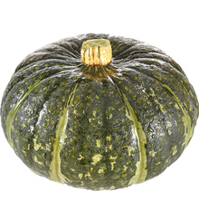 【果果雨-延安板栗南瓜】