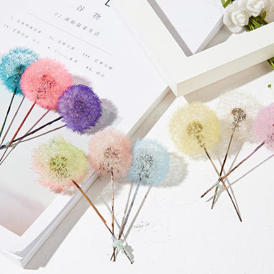 Dandelion dried flower, preserved flower drop, collagen material package, diy decorative flower box, glass cover, handcrafted creative display item