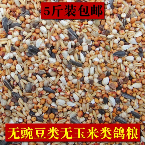 Молодые голубь черепах голубки зерновое голубь не кормить без кукурузы без бобовых пищи.