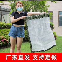 Stainless steel Beehive Bee bag Bee Catch Bee Hives Wasp Queen Bee King Trappers Beep Beekeeper Beehives Bee wasps