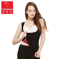 Dây tóc chim cô ấm áo vest dày cộng với nhung cơ thể đồ lót corsage body định hình gợi cảm bụng vest đích thực quan lot dep