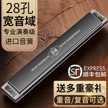 Germany imported reed Swan professional performance grade 28-hole harmonica accent Advanced adult polyphony Beginner introduction