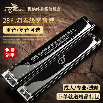 German imported sound Reed 28-hole accent Polyphonic C tune harmonica high-end adult professional performer beginner