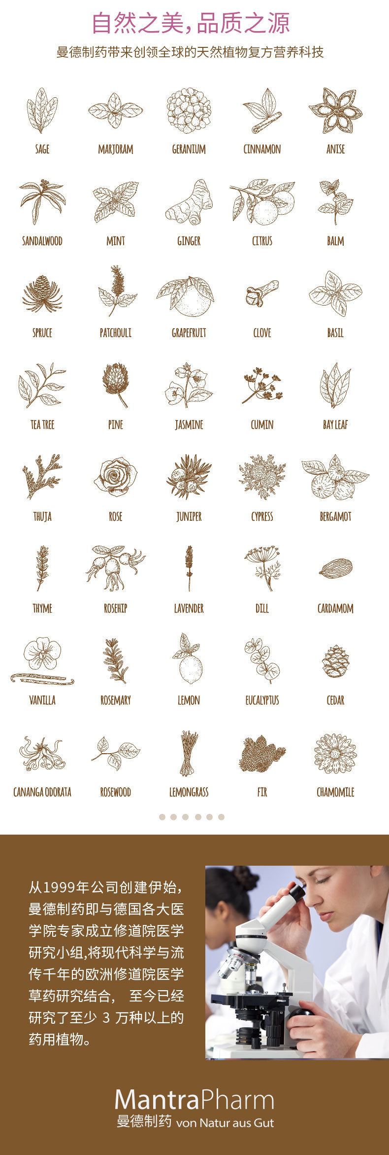 Yang Snow Muscle_05.jpg