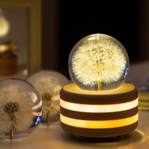 Dandelion night light Crystal ball music box Bedroom small ornaments Indoor girls girls room decorations Princess