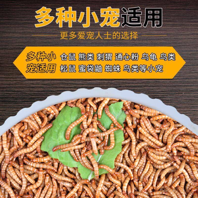 Bread Worm Live Yellow pink worm live bug Live Worm species Turtle Hamster Barn Rat Feed Bait Bird Food Fish Food Live