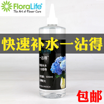 U.S. imports of flower longevity flower preservative nutrient solution once dipped in 100 to improve flower elbow flower shop dedicated