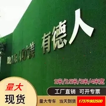 Lawn fake turf plastic green mat outdoor indoor simulation decoration green plant enclosure kindergarten carpet enclosure