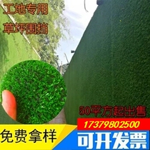 Simulation green planting wall plastic fake lawn turf outdoor wall decoration door head balcony landscaping background wall plant wall