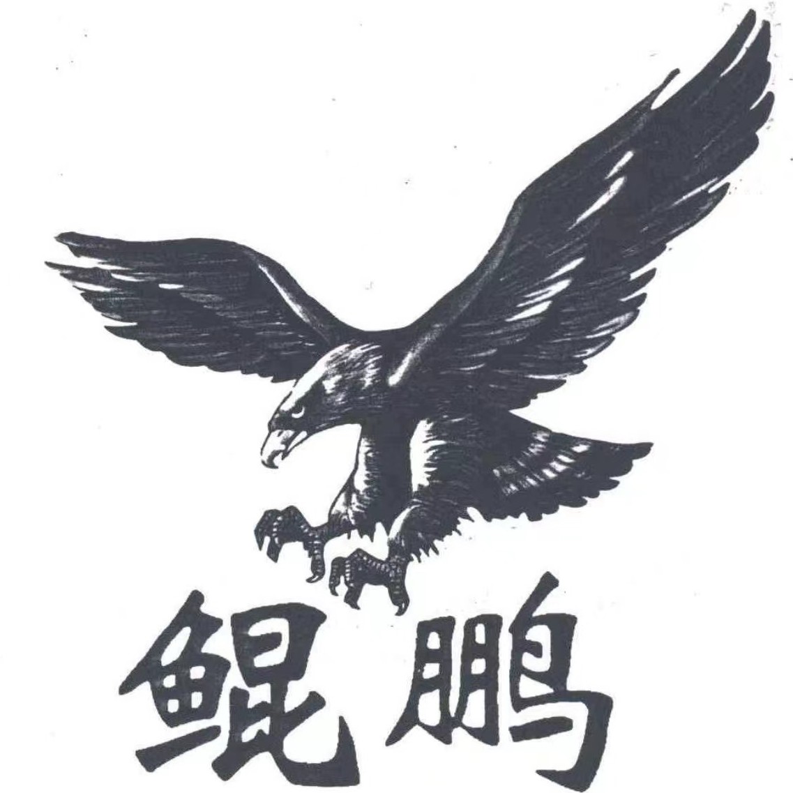 甘肃鲲鹏逸游国旅专营店