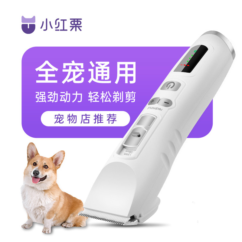 Small Red Chestnut Pooch Shave Pets Electric Pushback Cut Shave Dog Hair Pushers Shaved Dog Hair God's long sequel professional shave