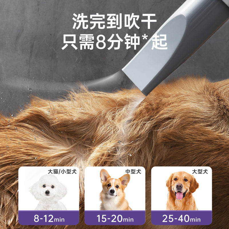 宠物吹风机洗澡专用大功率电吹水机：猫咪狗狗的静音吹毛拉毛神器，家庭必备！