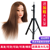 Hairdressing headform Full real hair model head dummy head apprentice can be hot rolled practice plate hair braided hair barber shop doll head