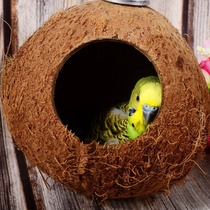 Spot coconut shell bird nest large coconut shell peony budgerigar parrot hamster devil squirrel pet breeding nest