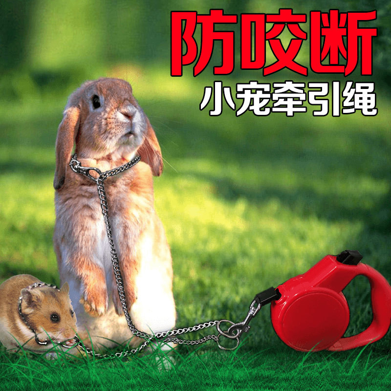 Rabbit traction rope anti-bite hamster anti-break collar flower branch mouse chinchilla hedgehog guinea pig going out chain